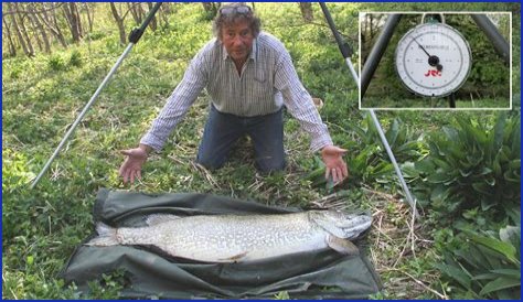 Brian Ingram Obituary, A Cherished Soul Has Died